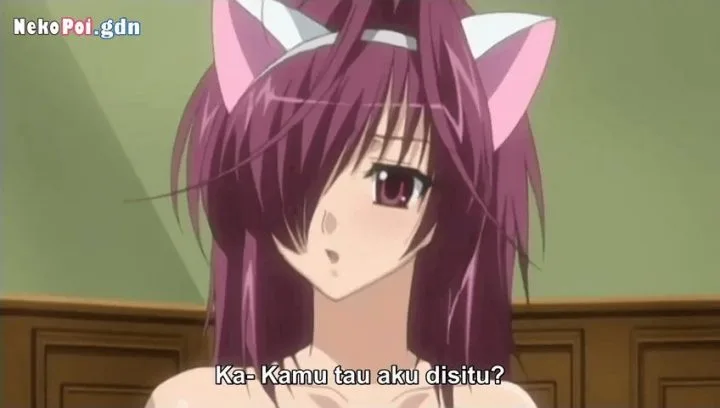 nekopoi 77